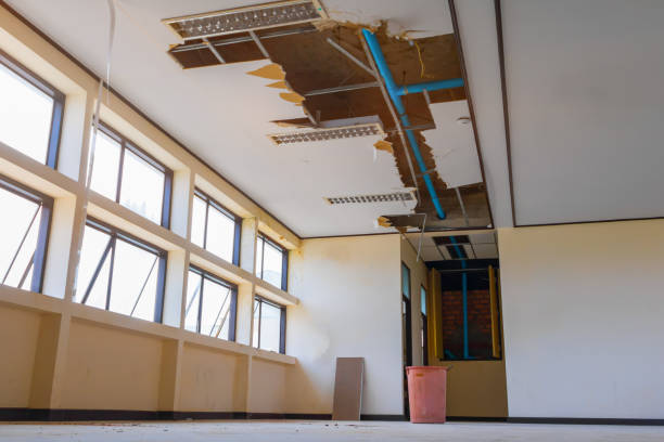 Best Water damage contractors near me  in New Boston, TX