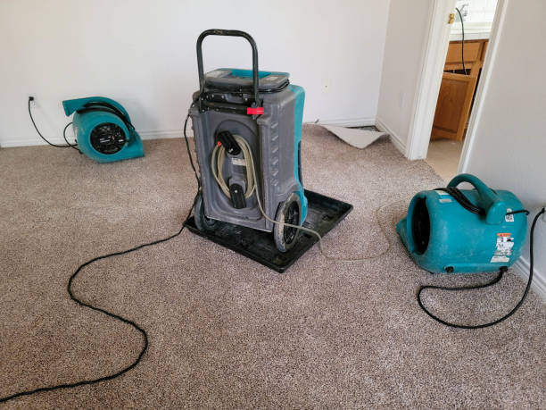 Fire Damage Restoration in New Boston, TX