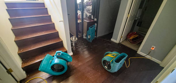 Best Water damage restoration near me  in New Boston, TX