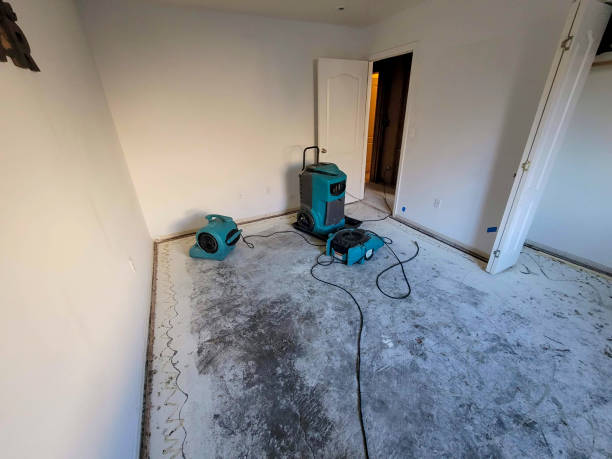 Best Water damage restoration near me  in New Boston, TX