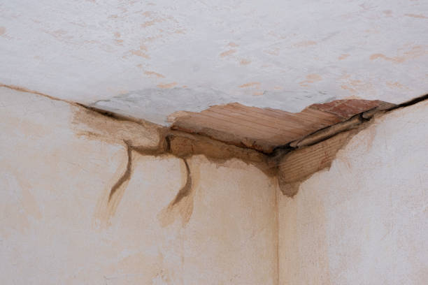 Best Water damage contractors near me  in New Boston, TX