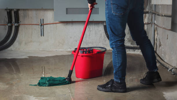 Best Sewage cleanup and water damage restoration  in New Boston, TX
