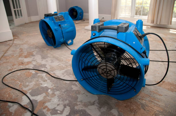 Water damage restoration mold remediation in New Boston, TX
