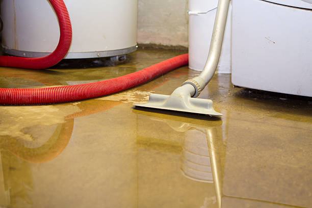 Best Sewage cleanup and water damage restoration  in New Boston, TX