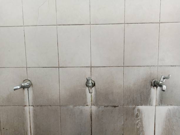 Best Professional water damage repair  in New Boston, TX