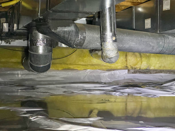  New Boston, TX Water damage restoration Pros