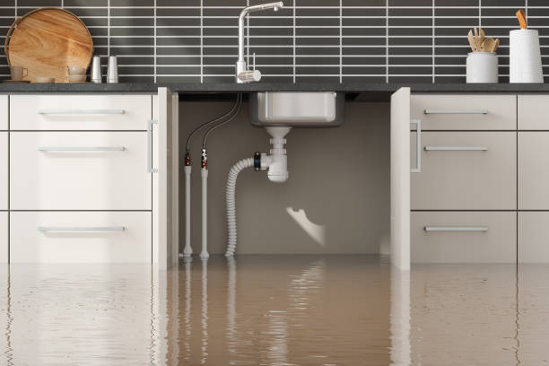 Best Flooded house restoration  in New Boston, TX