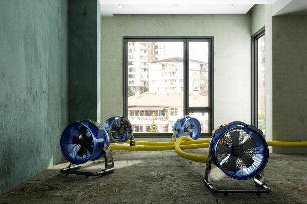 Best Residential water damage restoration  in New Boston, TX